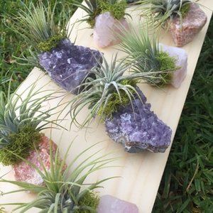 Crystal with plants